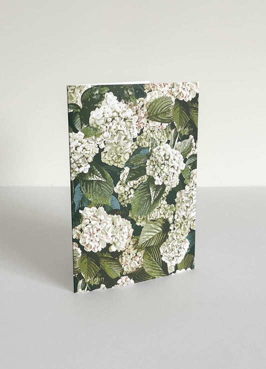 greeting card - baby hydrangea