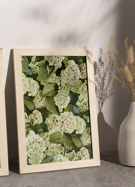 A4 print - baby hydrangea